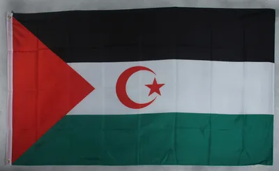Produktbild von Flagge Fahne : West Sahara Nationalflagge Nationalfahne