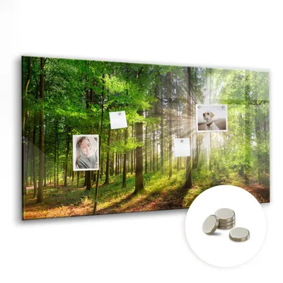 Produktbild von Dekorative Magnettafel 120x60 cm - Magnetwand - für Fotos, Karten und Notizen - Fotowand - Memoboard - Magnetpinnwand - Wanddekoration - Sonnenaufgang im Wald