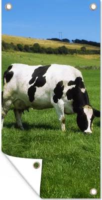 Produktbild von MuchoWow® 30x60 cm Outdoor-Poster Gartendeko Sichtschutz Garten Poster für den Garten  Kuh - Tiere - Gras