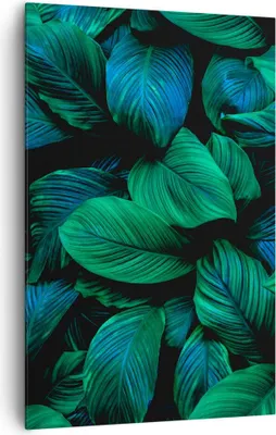 Produktbild von Bild auf Leinwand - Leinwandbild - Einteilig - Blätter Pflanzen Exotik - 80x120cm - Wand Bild - Wanddeko - Wandbilder - Leinwanddruck - Wanddekoration - Leinwand bilder - Wandbild - PA80x120-5066
