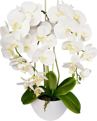 Produktbild von Kunstpflanze Damich 3pgb künstliche Orchidee im Blumentopf Kunstblume Dekoration Pflanze Blume Höhe ca. 60cm