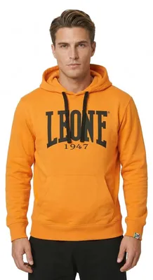 Produktbild von Herren-Hoodie mit großem Logo