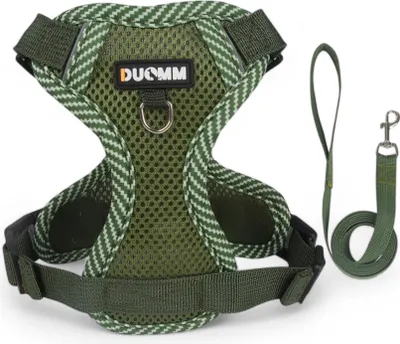 Produktbild von Verstellbares Hunde-Geschirr-Set aus atmungsaktivem Mesh mit Leine (4 Größen) Grün S