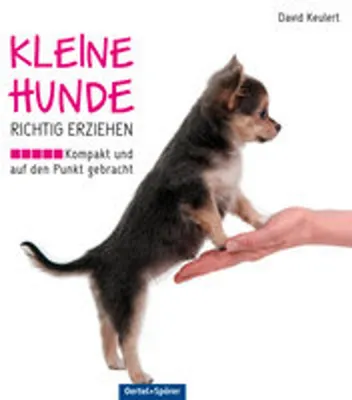 Obrázek produktu pro Kleine Hunde richtig erziehen