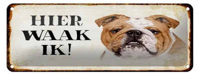 Produktbild von Blechschild Spruch 27x10 cm holländisch Hier Waak ik Bulldogge Dekoration