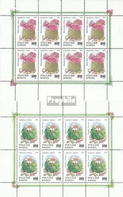 Produktbild von Briefmarken Russland 1994 Mi 364Klb-365Klb Kleinbogen postfrisch Kakteen