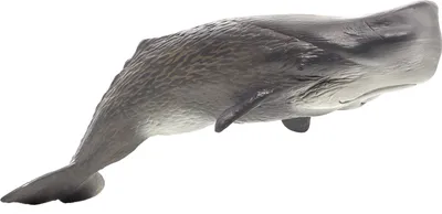 Zdjęcie produktu dla Mojo Fun Sperm Whale (Portugal), 3 lat(a), SEALIFE, Szary, Biały, Polichlorek winylu (PVC)