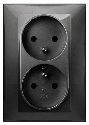 Image de SANTRA Prise 2x2P+T monolithe avec cadre saillie noir 4135-09