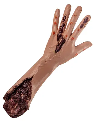 Produktbild von Ausgerissener, blutiger Arm eines Zombies