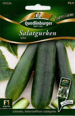 Produktbild von Quedlinburger Saatgut - Freilandsalatgurken Silor - Samen - 290228