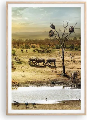 Produktbild von Gerahmtes Poster - Rahmen in heller Eiche - Safari Tiere - 70x100 cm - Wand Bild - Wanddeko - Wandbilder - Kunstposter - Wandposter - Bilderrahmen - Bilder - Kunstdruck - Wandbild - P2NPA70x100-3880
