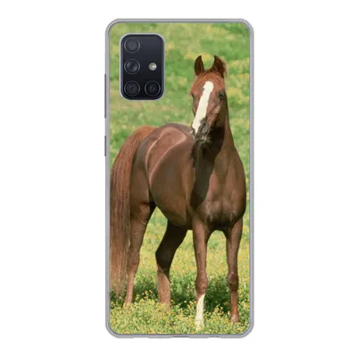 Produktbild von MuchoWow® Handyhülle Schutzhülle Hülle für Samsung Galaxy A51 5G Pferde - Gras - Braun Silikon Softcase Handy Hülle - Abbildung