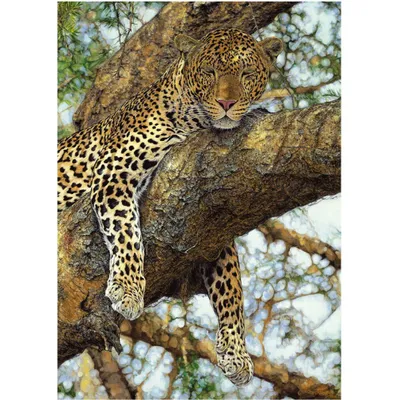 Produktbild von Dino Puzzle Leopard 1000 Teile buntes Spielzeug Puzzle