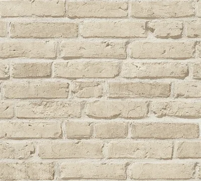Produktbild von A.S. Création Vliestapete Best of Wood`n Stone 2nd Edition Tapete beige 10,05 m x 0,53 m 355812 35581-2