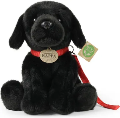 Zdjęcie produktu dla RAPPA Pluszowy Labrador czarny ze smyczą 28 cm ECO-FRIENDLY