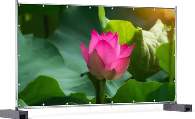 Produktbild von Wallario XXL Outdoor-Poster für Garten oder Balkon, Motiv Pinke Lotosblüte im Sonnenschein, in ca. 340 x 173 cm
