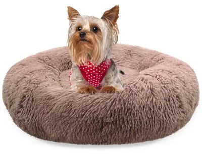 Produktbild von BLUZELLE Hundebett Kleine Hunde & Katzen, 50cm Hundekissen Rund Donut Kissen Hundekorb Plüsch, Katzenbett Katzenkissen Khaki
