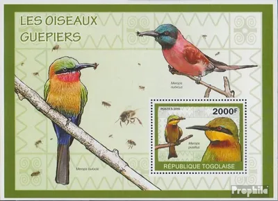 Produktbild von Briefmarken Togo 2010 Mi Block497 (kompl.Ausg.) postfrisch Spinte