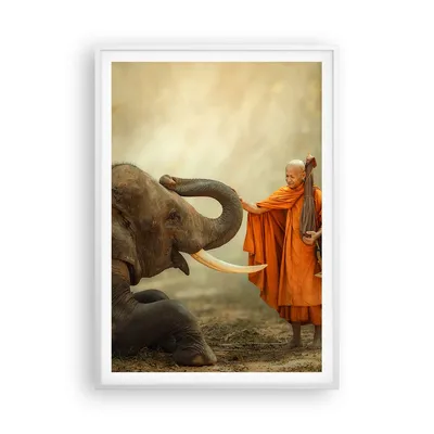 Produktbild von Gerahmtes Poster - Weißer Rahmen - Elefant Mönch Stoßzahn - 70x100 cm - Wand Bild - Wanddeko - Wandbilder - Kunstposter - Wandposter - Bilderrahmen - Bilder - Kunstdruck - Wandbild - P2WPA70x100-3484
