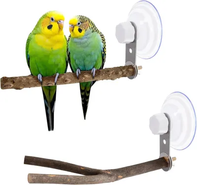 Imagen del producto de Varillas de madera para jaulas de pájaros, 2 unidades, 25 cm de longitud, con ventosa, para pájaros pequeños y medianos