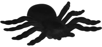 Productafbeelding van Halloween Decoratie - Spin - Fluffy - 2 Stuks - Zwart