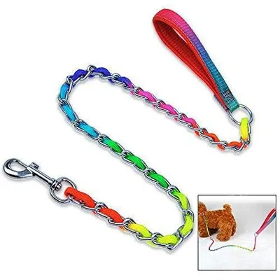 Image de Laisse robuste pour grands chiens