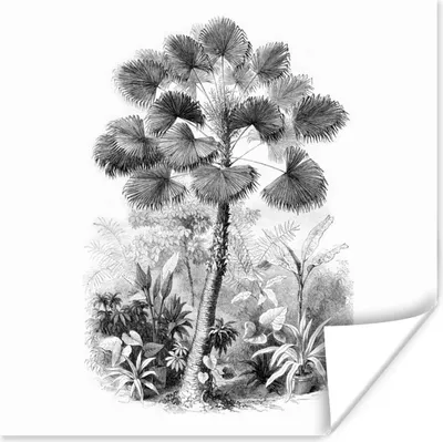 Produktbild von MuchoWow® Poster Design - Natur - Baum 75x75 cm - Wand Dekoration