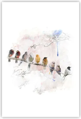 Produktbild von Poster - Poster ohne Rahmen - Vögel Kanarienvogel Zweig - 61x91,5 cm - Wand Bild - Wanddeko - Wandbilder - Kunstposter - Wandposter - Bilder - Kunstdruck - Wanddekoration - Wandbild - P2XPA61x91-4175