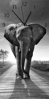 Produktbild von Wallario Design Wanduhr Elefant bei Sonnenaufgang in Afrika schwarzweiß aus Echtglas, Größe 30 x 60 cm
