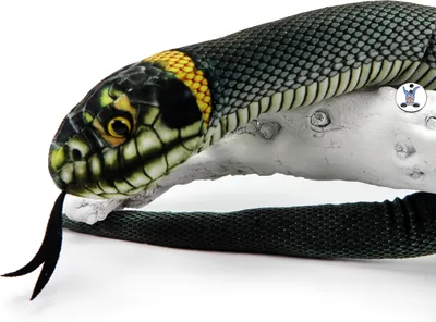A plush snake toy is resting on a white branch against a white background.
