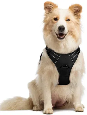 Productafbeelding van Ibenzoa® Ademende hondentuig met verstelbare borstband – geschikt voor puppy's en middelgrote tot grote honden, maten S–XL, zwart/roze/blauw