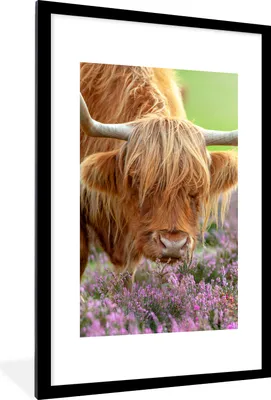 Produktbild von MuchoWow® Gerahmtes Poster Schottischer Highlander - Lila - Blumen 60x90 cm - Poster mit Schwarzem Bilderrahmen Wandposter Rahmen Foto Bilder - Dekoration - Wandposter Wohnzimmer - Hochwertig