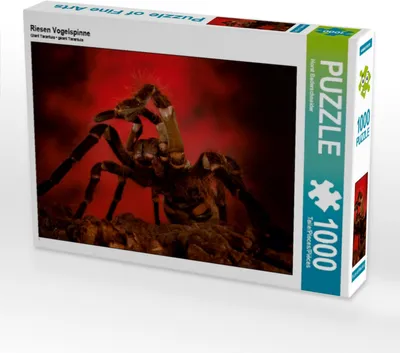 Produktbild von Calvendo Riesen Vogelspinne 1000 Teile Puzzle quer 640x480mm, Baderschneider Horst; 7348324