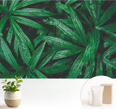 Produktbild von Fototapete selbstklebend - 104x70 cm - Tapete - Wandtapete - Wandbilder - Klebefolie - Dekofolie - Tapete Folie - Wand - Dekoration - Wohnzimmer - Natürliches Grün
