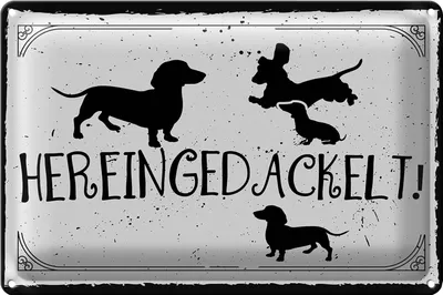 Produktbild von Blechschild Spruch 30x20cm Hereingedackelt!