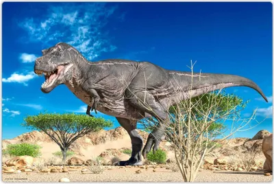 Produktbild von Schreibtischunterlage für Kinder - abwaschbar – T-Rex Dinosaurier – aus premium Vinyl – 60 x 40 cm –  Germany - Jungs & Mädchen