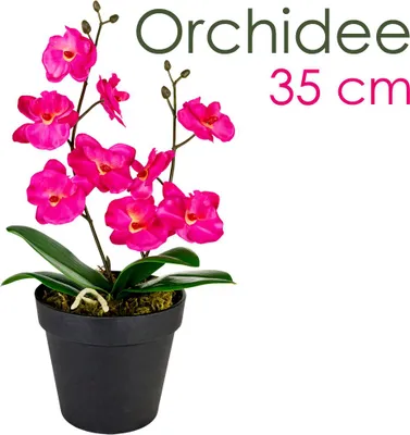 Obrázok produktu pre Umelé kvety Orchidea Orchidea Rastliny Umelé rastliny Umelé kvety Umelé rastliny Ružová Ružová s kvetináčom Dekorácie 35 cm Decovego