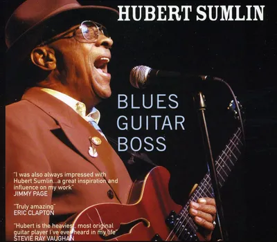 Image de Maître de la guitare blues