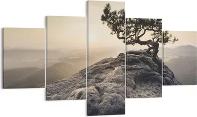 Produktbild von Bild auf Leinwand - Leinwandbild - 5 Teile - Alt Kiefer Berge - 125x70cm - Wand Bild - Wanddeko - Wandbilder - Leinwanddruck - Bilder - Wanddekoration - Leinwand bilder - Wandbild - EA125x70-4334