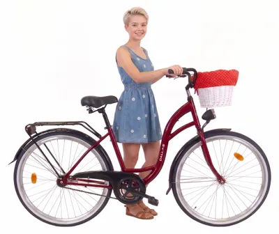 Produktbild von Dallas Bike Damenfahrrad 26 Zoll - Mit Weidenkorb - 1-Gang Rücktritt - Rahmen M 17" - Rot-Schwarz