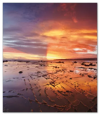 Produktbild von Wallario Herdabdeckplatte aus Glas, Größe 52 x 60 cm 1-teilig, Motiv Wattwanderung am Meer bei Sonnenuntergang