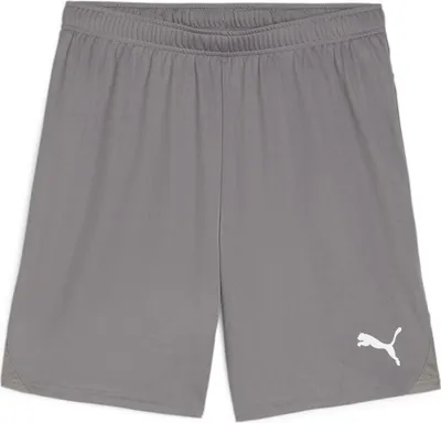 Produktbild von Puma Teamgoal Shorts Herren - Grau