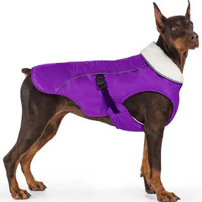 Immagine prodotto di Cappotto per cani, antivento, riflettente, caldo, colore viola, taglia S