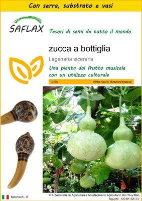 Immagine prodotto di SAFLAX Insieme di coltivazione -  zucca a bottiglia - 15 semi - Lagenaria