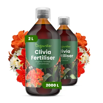 Obrázok produktu pre Clivia, tekuté hnojivo, 2x 1 liter – vzťah živín NPK: 3-4-3 – Vhodné pre kvitnúce rastliny – Pre zdravé listy a bohaté kvitnutie – Podporuje rast koreňov a vitalitu – Organický produkt
