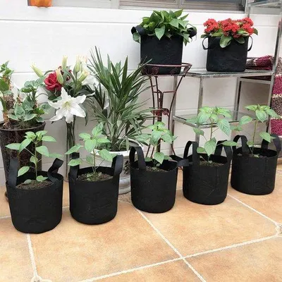 Image de Unyqoos® : Coffret de 12 sacs de plantation respirants en feutre, avec poignées et étiquettes – Sacs de plantation avec drainage au fond, idéaux pour les légumes, les fleurs, les balcons et les jardins