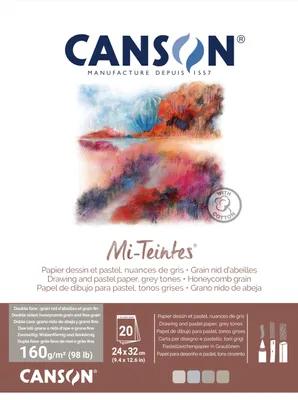 Productafbeelding van CANSON MI-TEINTES 24X32 160G Grijstinten, blok 20 bladzijden
