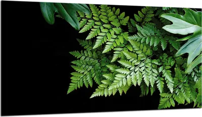 Produktbild von Herdabdeckplatte Glaskeramikkochfeld-Abdeckung Spritzschutz Glas 90x52 Schwarz