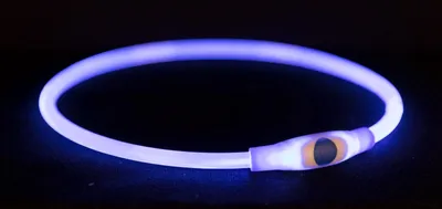 Produktbild von TRIXIE Flash Leuchtring USB - blau - 65 cm/ø 8 mm