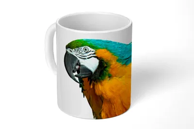 Produktbild von KitchenYeah® Tasse Kaffeetasse Kaffeebecher 350 ml Papagei - Vogel - Federn - Porträt Teetasse - Fototasse - Becher - Keramikbecher - Teebecher - Kaffeetasse - Bürotasse